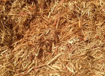 Cedar Mulch